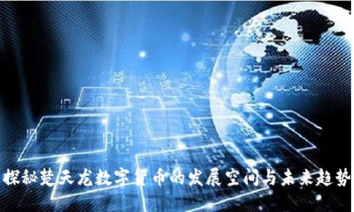 探秘楚天龙数字货币的发展空间与未来趋势