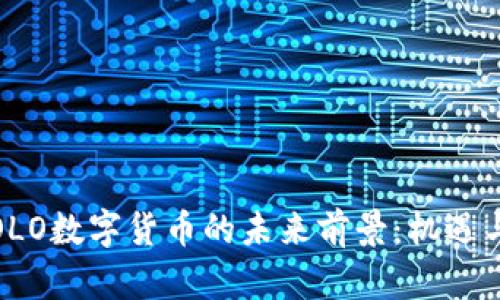 探讨OLO数字货币的未来前景：机遇与挑战