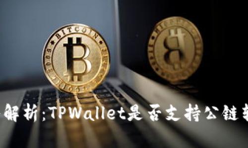深入解析：TPWallet是否支持公链转币？