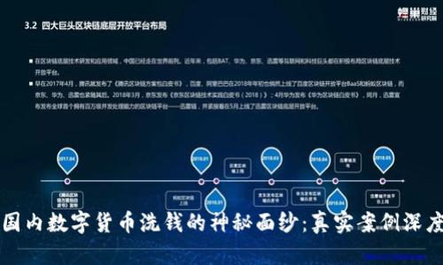 揭开国内数字货币洗钱的神秘面纱：真实案例深度分析