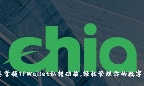 快速掌握TPWallet私转功能，轻松管理你的数字资产