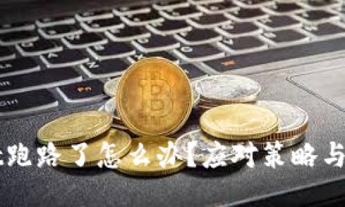 TPWallet跑路了怎么办？应对策略与救赎指南