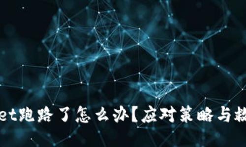 TPWallet跑路了怎么办？应对策略与救赎指南