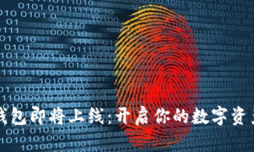 以太坊钱包即将上线：开启你的数字资产新世界