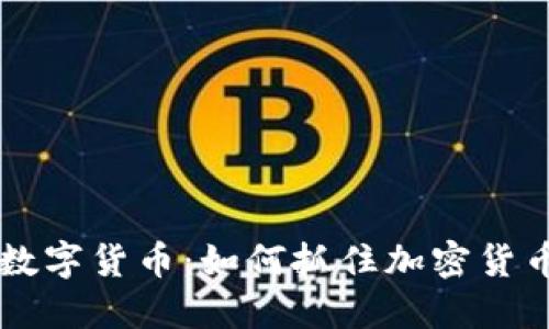 揭秘BB狗数字货币：如何抓住加密货币的新机遇