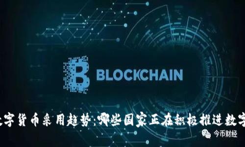 全球数字货币采用趋势：哪些国家正在积极推进数字货币？
