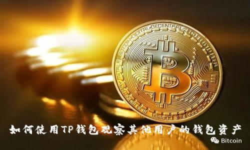 如何使用TP钱包观察其他用户的钱包资产