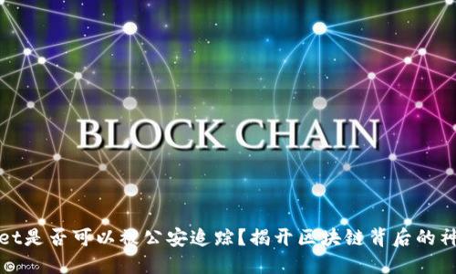 TPWallet是否可以被公安追踪？揭开区块链背后的神秘面纱