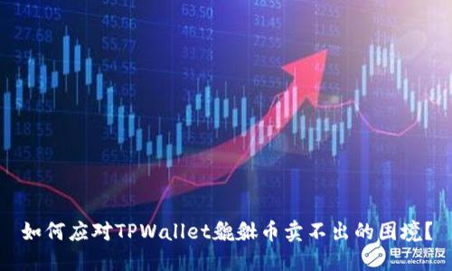 如何应对TPWallet貔貅币卖不出的困境？
