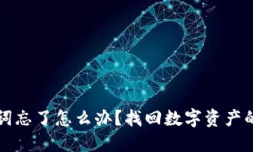 钱包助记词忘了怎么办？找回数字资产的实用指南