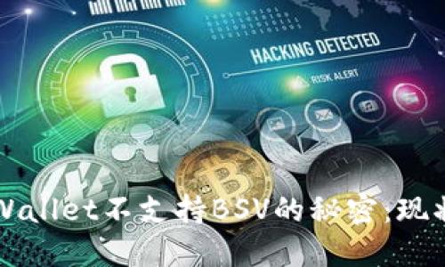 揭开TPWallet不支持BSV的秘密：现状与展望