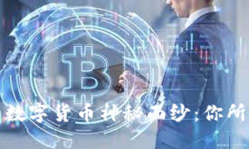揭开淘宝上的数字货币神秘面纱：你所需了解的一切