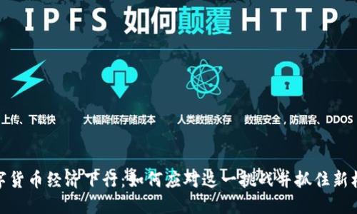 数字货币经济下行：如何应对这一挑战并抓住新机遇