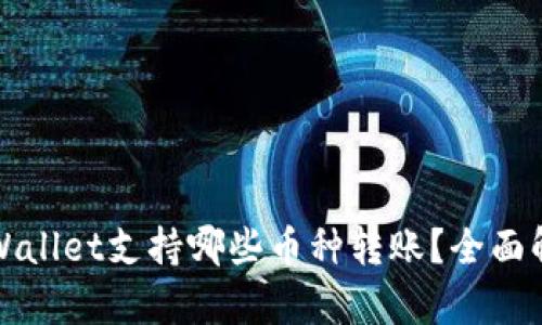 TPWallet支持哪些币种转账？全面解析