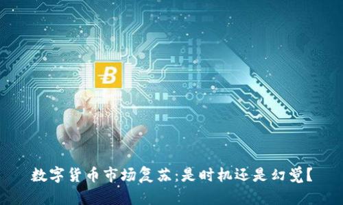 数字货币市场复苏：是时机还是幻觉？