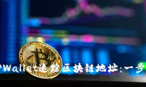 如何使用TPWallet追踪区块链地址：一步一步的指南