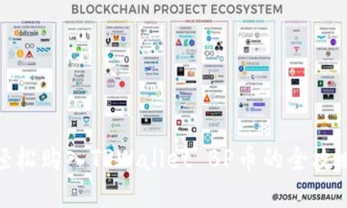 轻松购入TPWallet BP币的全攻略