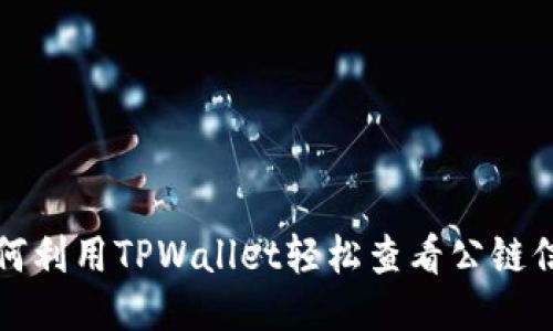如何利用TPWallet轻松查看公链信息