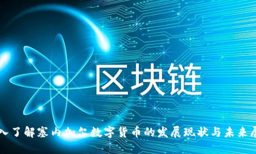 深入了解塞内加尔数字货币的发展现状与未来展望