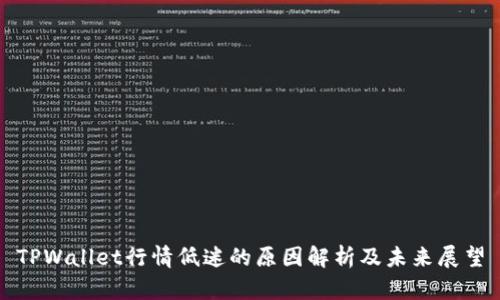 TPWallet行情低迷的原因解析及未来展望