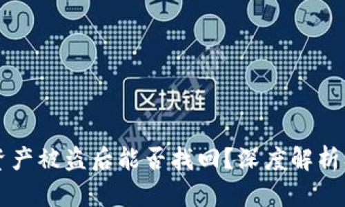 TPWallet资产被盗后能否找回？深度解析及应对策略