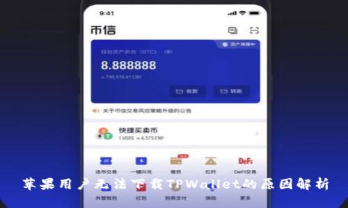 苹果用户无法下载TPWallet的原因解析