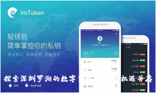 探索深圳罗湖的数字货币：创新与机遇并存