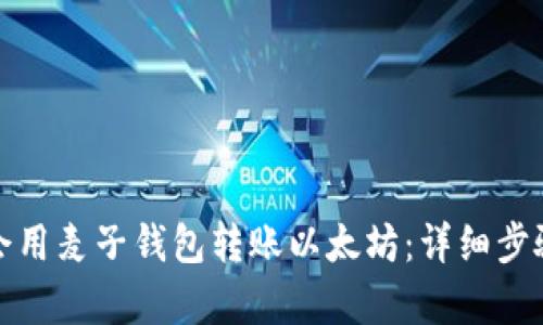 轻松学会用麦子钱包转账以太坊：详细步骤与技巧
