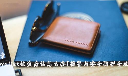 文章
tpwallet被盗后该怎么办？报警与安全防护全攻略