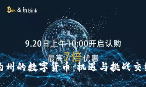 探索纽约州的数字货币：机遇与挑战交织的未来