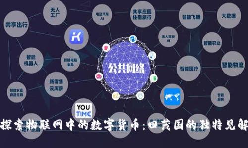 探索物联网中的数字货币：田茂国的独特见解