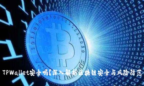 TPWallet安全吗？深入解析区块链安全与风险防范