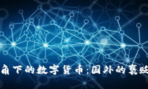 全球视角下的数字货币：国外的褒贬与评析