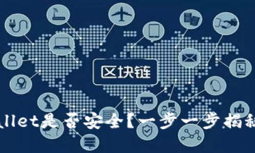 如何快速查验TPWallet是否安全？一步一步揭秘你的数字资产保护