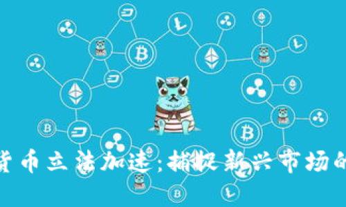 数字货币立法加速：捕捉新兴市场的机遇