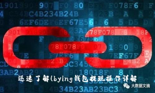 迅速了解！bying钱包提现操作详解
