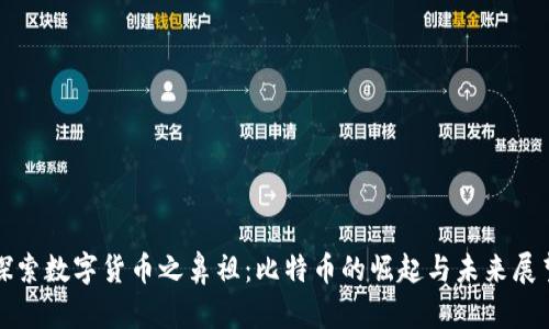 探索数字货币之鼻祖：比特币的崛起与未来展望