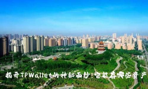 : 揭开TPWallet的神秘面纱：它能存哪些资产？