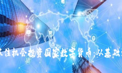 如何抓住机会投资国家数字货币：从基础到实践