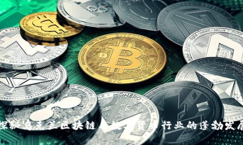 探秘乌克兰区块链与数字货币行业的蓬勃发展