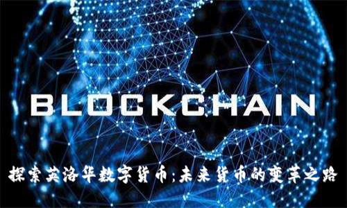 探索英洛华数字货币：未来货币的变革之路