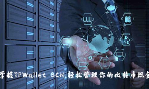 快速掌握TPWallet BCH，轻松管理你的比特币现金资产