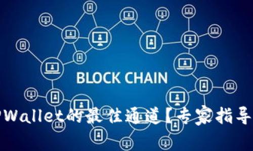 如何选择TPWallet的最佳通道？专家指导与实用技巧