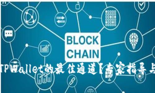 如何选择TPWallet的最佳通道？专家指导与实用技巧