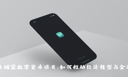 探索柬埔寨数字货币项目：如何推动经济转型与金融创新