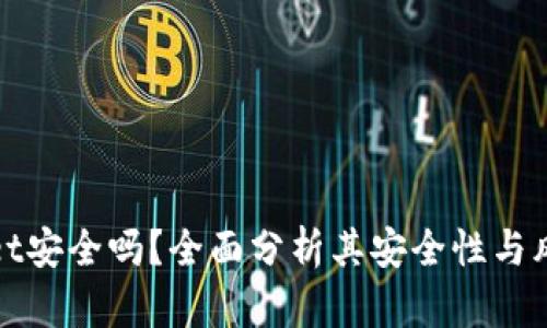 TPWallet安全吗？全面分析其安全性与风控措施