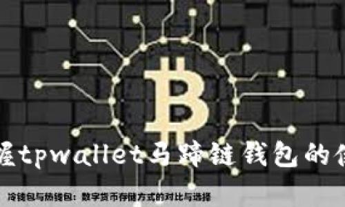 全面掌握tpwallet马蹄链钱包的使用教程