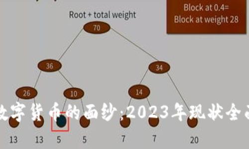 揭开数字货币的面纱：2023年现状全面分析