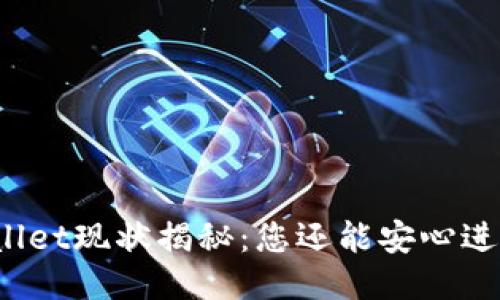 TPWallet现状揭秘：您还能安心进入吗？
