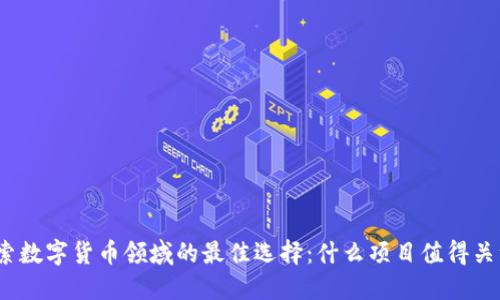 探索数字货币领域的最佳选择：什么项目值得关注？